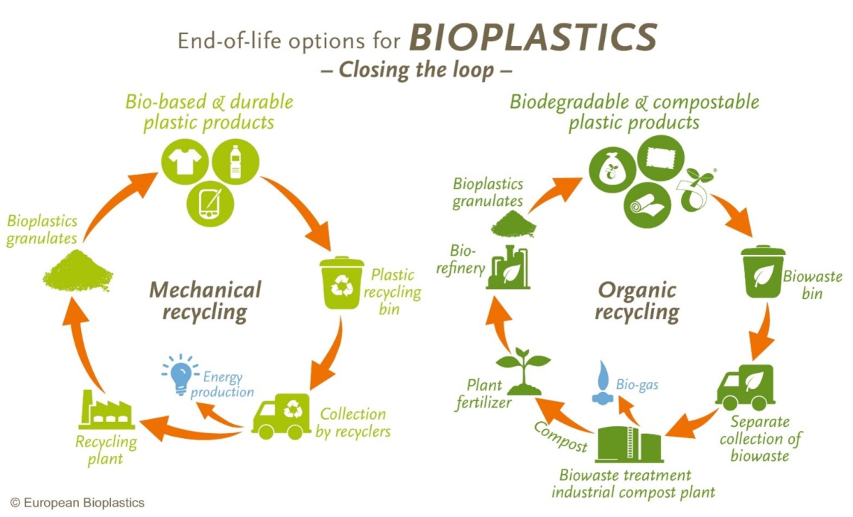 Bioplastics CO2 comparison — fossil-based vs bio-based plastics